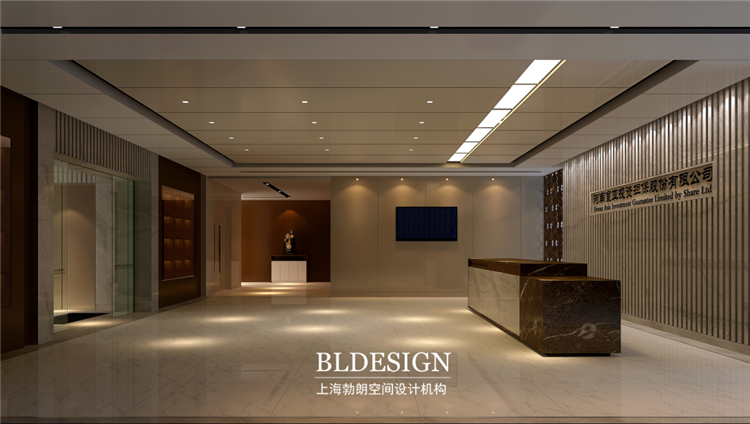 寰亚投资担保有限公司办公设计-接待大厅