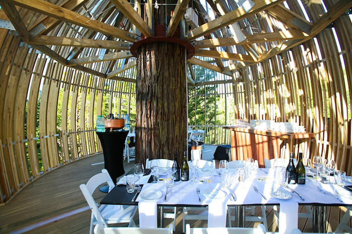 奇特创意的树屋餐厅设计