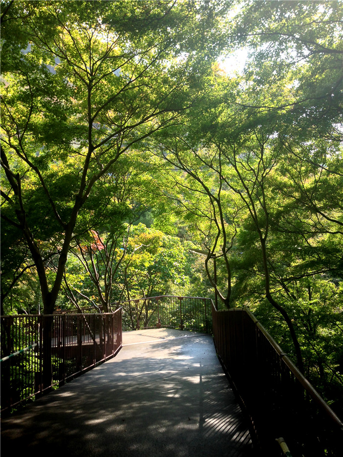 上海勃朗设计总监游学京都清水寺