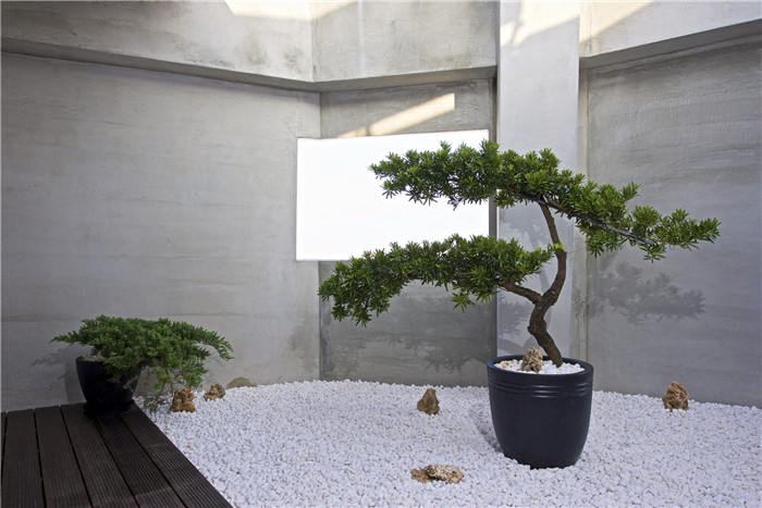 细节欣赏