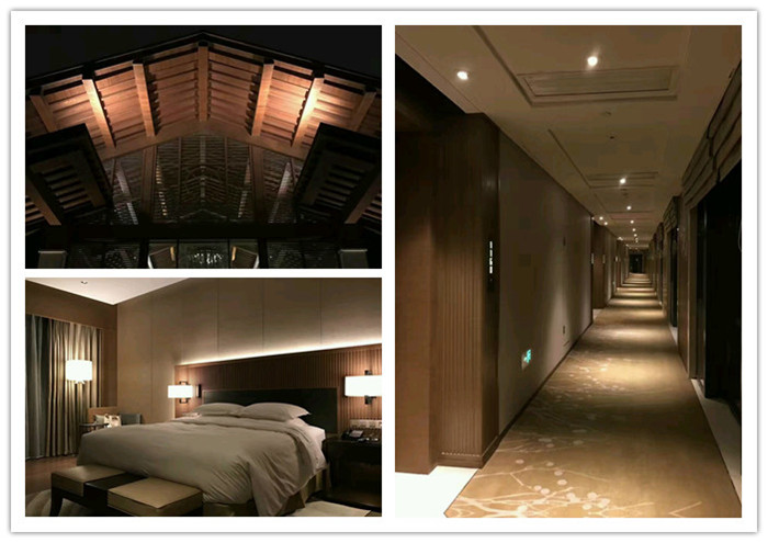 武汉光谷希尔顿酒店设计实景图